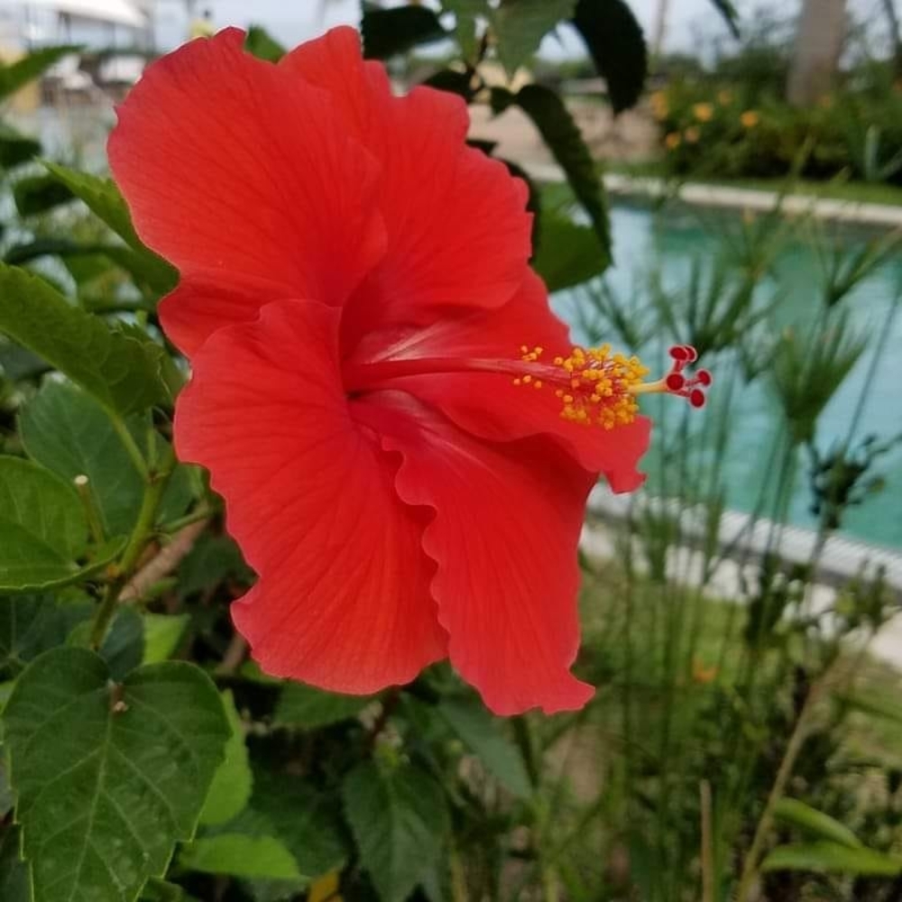 Meet your Posher, Marybeth